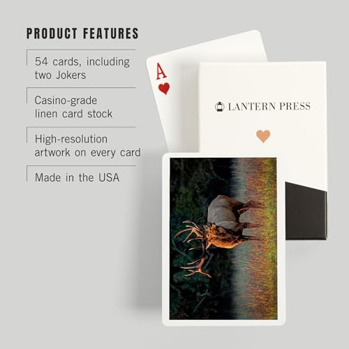 Lantern Press naipes de póker para adultos, 52 cartas miniatura 3