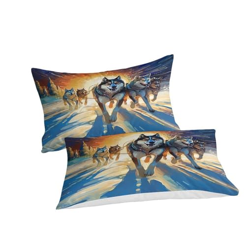 Housse de couette zippée 220x240 microfibre pour lit sans pli