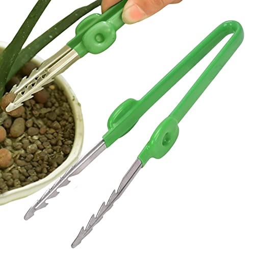 Pinzette Per Bonsai In Acciaio Inossidabile - Manico Lungo, Per Giardinaggio, Rimozione Foglie Morte E Muschio - Foto 4