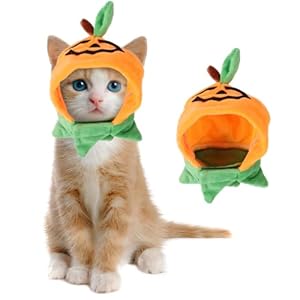 Bohue Halloween Pumpkin Cat Hat Pet Pumpkin Hat Adjustable Funny Cat Hat Halloween Headdress for Pet Cosplay Costume Party