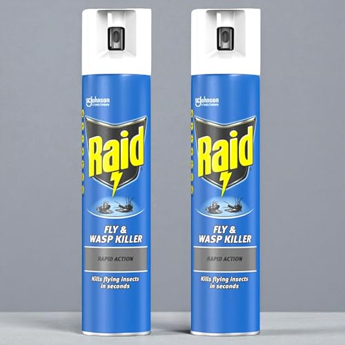2 x 300ml Raid Rapid Action Fly & Wasp Killer, Fly Killer Spray For Indoor Use (Total 600ML)