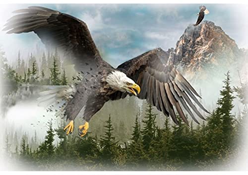 Hoffman Call of The Wild Digital T4959 16 Sky Eagle in Flight 29" X 42" Digital Panel