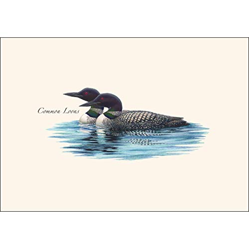 Image of Earth Sky + Water - Loon Pair Notecard Set - 8 Blank Cards with Envelopes