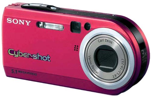 SONY Cyber-Shot P100 DSC-P100/R bh