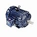 Marathon Motors Inverter Duty Motor, Y576, 444THFN8036, 125HP, 460V, 1800RPM, 3PH, 444T, TEFC