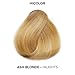 L'OREAL TECHNIQUE HiColor Blond HiLights Permanent Hair Color for Dark Hair | Intense Blonde Highlights | No Pre-Lightening Required | No-Drip Creme | Quick Processing Time | Ash Blond