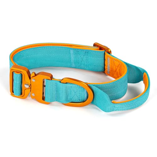 Duggyta Champagne Gold Dog Collar