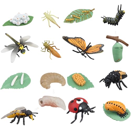 Jouets du cycle de vie pour enfants pour comprendre la métamorphose de l'abeille