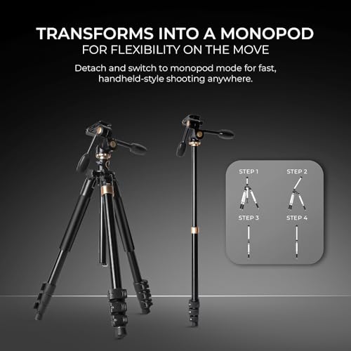 Buy Digitek DTR-620 BH Tripod Stand, Compatible with DPTR-605 VD, Stable Camera Tripod for Photography & Videography, Portable Design for DSLR, Video Cameras & Accessories Online at Low Prices in India - Amazon.in - Image 7