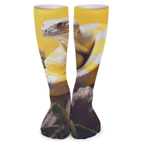 Playing Poker Dogs Crew Athletic Socks Soft Breathable Socks Winter Warm Stockings for Women Men