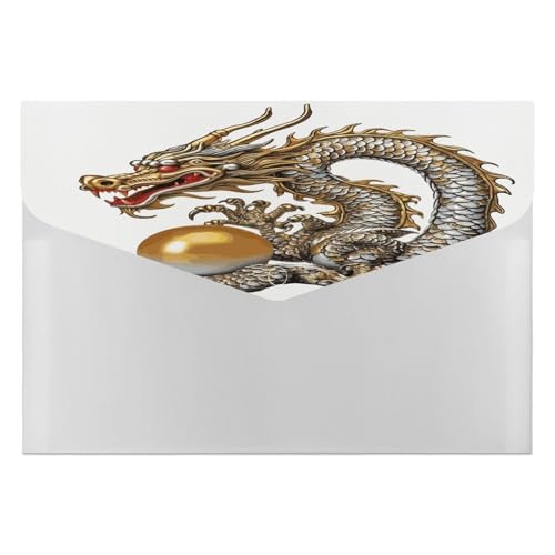 Organiseur de fichiers accordéon avec motif dragon : pochette de rangement pour papier et bureau