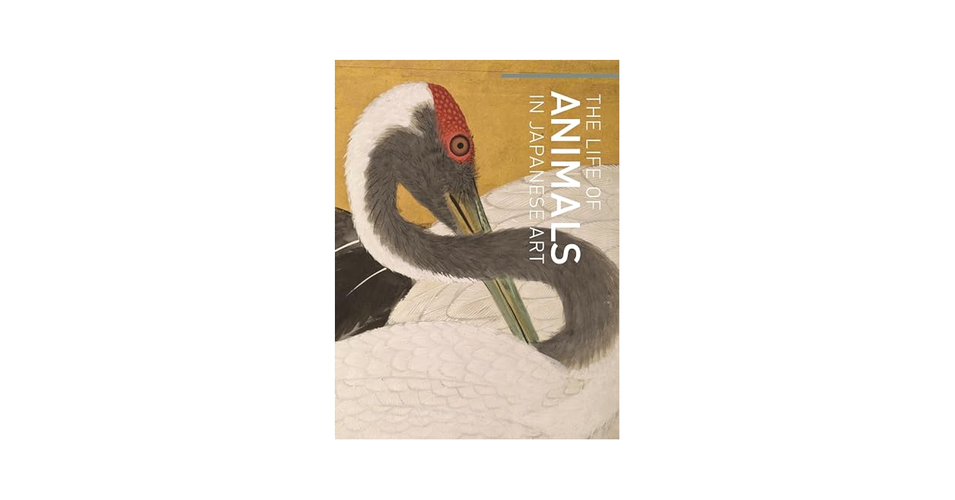 希少　洋書　1942年　古書　Animal Life Of The 希少 洋書 1942年 古書 Animal Life Of The 希少 洋書 1942年