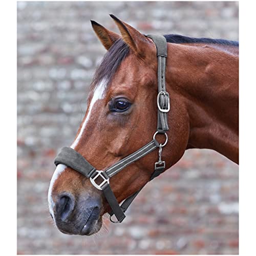Waldhausen Halfter Alcantara VB azul noche evita rozaduras en tu caballo