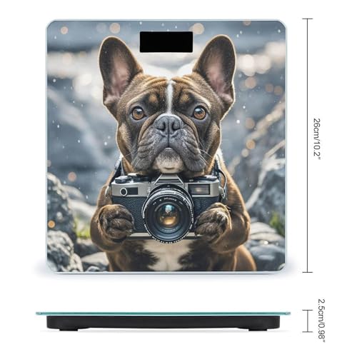 Báscula digital de baño con diseño de cachorro bulldog francés miniatura 2