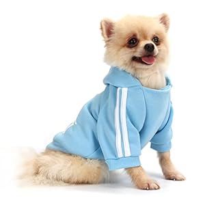 QiCheng&LYS Dog Hoodie Dog Clothes Small Dogs Warm Jumper Coat (Blue, XS) Pet Clothing