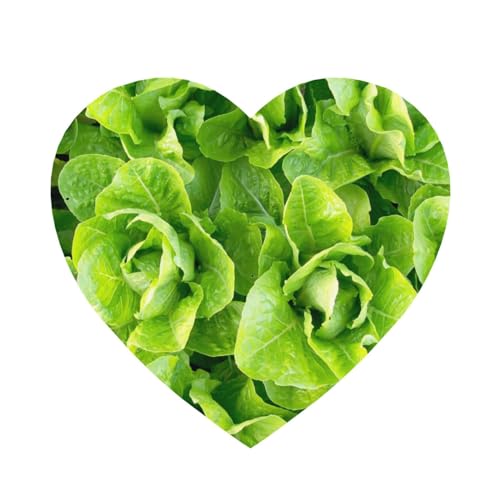 Lechuga Romana Fresca, Adhesivo magnético para Nevera en Forma de corazón, imanes acrílicos para Nevera, decoración de Muebles, 1 Unidad