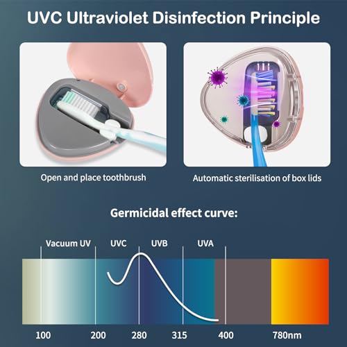 taishan uv sanitizer toothbrush caserechargeable portable mini holder with mirrorfits all toothbrushes for electric and manualsafety feature home travel