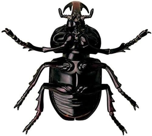 動物解剖学的生物学昆虫取り外し可能な 21 部品クワガタ臓器解剖モデル科学教育デモンストレーション 1016 臓器モデル