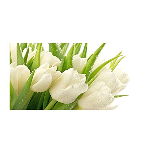Toile tulipes blanches 100x50 cm recréant un salon lumineux et une ambiance nature zen