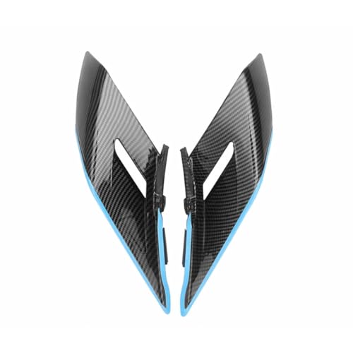 Ailes de carénage latérales stabilisatrices en carbone pour moto 450 SR