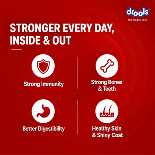 Image of Drools Adult Dry Dog Food 2.8kg + 1kg | Lamb and Rice Flavour | Supports Skin Nourishment and Coat Radiance | Promotes Healthy Digestion | Natural Antioxidants | Strengthen Immunity