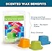 Scentsationals Wax Melts, Wax Cubes Strong Scent - Enchanted Night Collection Black Magic - Long Lasting Scented Melts for Warmer, 10oz (24-Cubes)