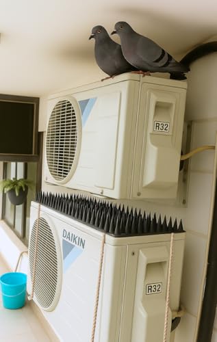 Image of CHANCEUX Anti Bird Plastic Spikes Sheet for Split AC - Balconies Window Home Protection from Pigeon Dog Monkey Crow Kabootar - kabutar Control Scare Repellent