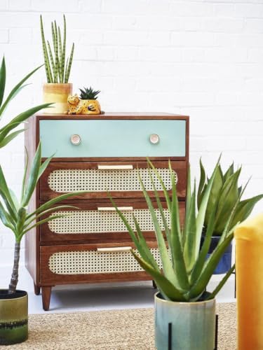 Image of Space Galaxy Solid Sheesham Wood Chest of Drawer with Cane Rattan Fronts | 4 Drawer Storage Cabinet & Closet Drawer Organizer | Bedroom, Living Room & Home Storage Furniture | Natural Finish