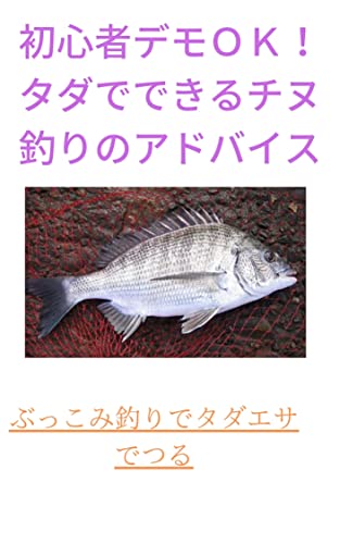 初心者でもOK!タダでできるチヌ釣りのアドバイス