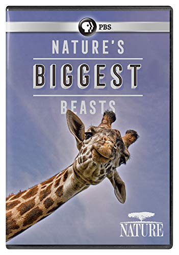 Nature: Nature'S Biggest Beasts