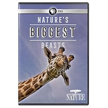 NATURE Natures Biggest Beasts DVD