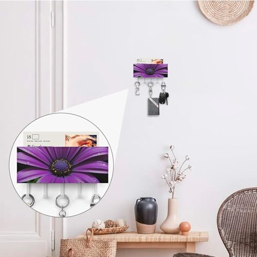 Gancho para llaves de pared resistente con 5 ganchos de metal para hogar 5