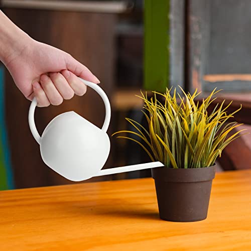 Danolt 400ML Weiss Gießkanne Klein Zimmerpflanzen, Mini Gießkanne Metall Langem Auslauf Giesskanne Klein ZimmerpflanzenInnen für Innen Wohnung Home Büro Sukkulenten
