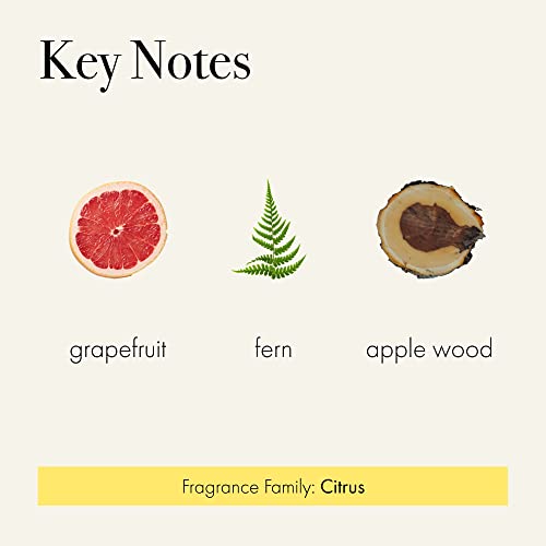 Lafco New York Classic Candle, White Grapefruit - 6.5 Oz - 50-Hour Burn Time - Reusable, Hand Blown Glass Vessel - Made In The Usa #TOP2