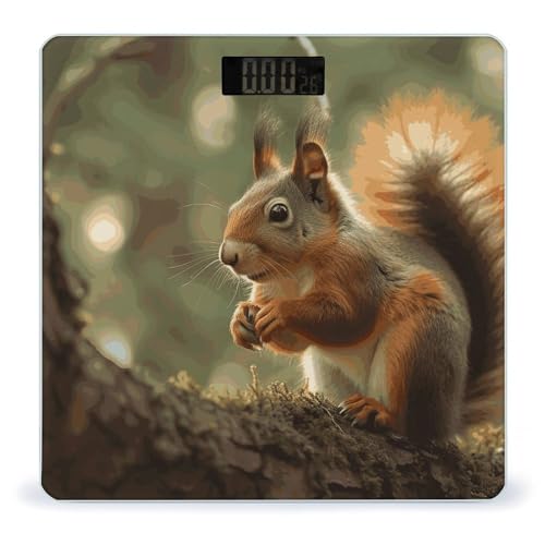 Báscula Digital de Baño Wildlife Forest Squirrel miniatura 1