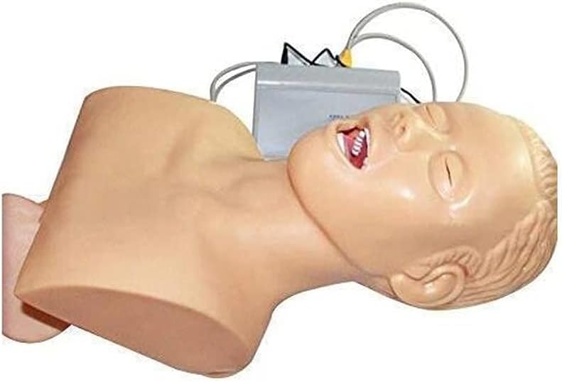 Angelay-Tian Modelo Anatómico Humano, Modelo De Entrenamiento De Intubación De Traqueal Electrónico del Cuerpo Humano con Dispositivo De Alarma De Presión Dental