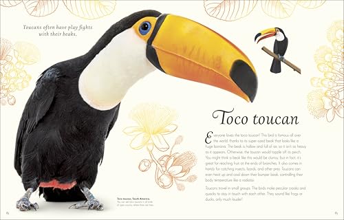 An Anthology of Exquisite Birds (DK Children's Anthologies) - Image 6