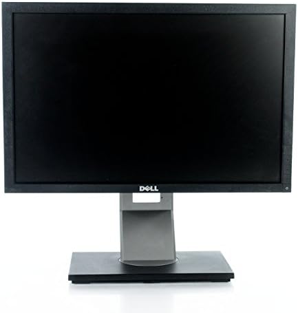 Dell Professional P1911 19\