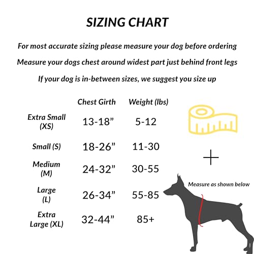 Shawnco Essential Dog Harness, No-Pull Pet Vest With 3 Leash Clips thumb #2