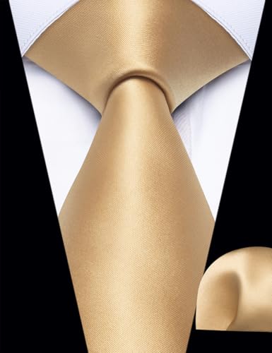Image of YourTies Zipper Tie for Men Adjustable Pre-tied Satin Neckties and Pocket Square Set Solid Color Business Formal Wedding