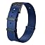 Blue with Black Buckle