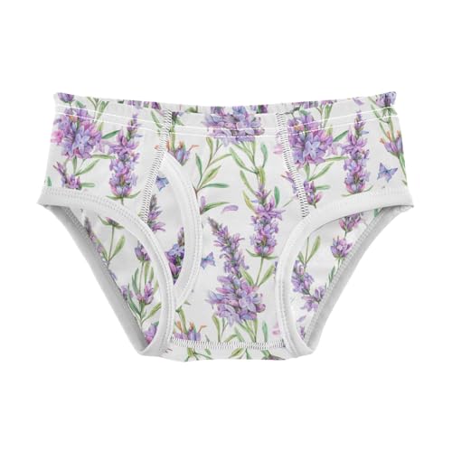 Boys' Exclusive Briefs Toddler Underwear 95% Combed Cotton Boxerbriefs 2T Lavender and Butterfly Pattern 78