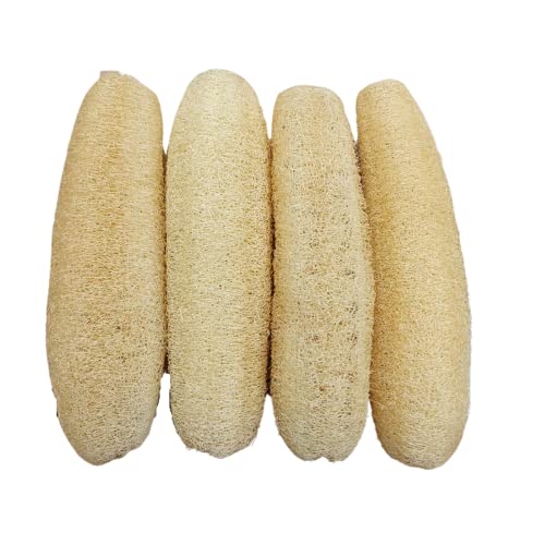 BeyondNice Natural Loofah Sponge Dish Brush, 4 Pack Scrub Brush for Cleaning Kitchen and Washing Dishes, for Sink, Pots, Pans, Cleaning Brushes Tools (L)