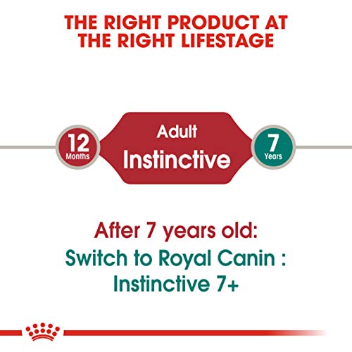 Image of Royal Canin Adult Instinctive Wet Cat Food, Fish, 85 g (24 Pack)