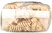 DeLallo, Pasta, Whole Wheat, Fusilli # 27, 16 oz