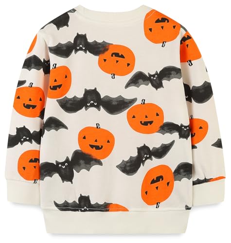 Image of Hongshilian Unisex Kids Cute Cartoon Cotton Sweater Shirt