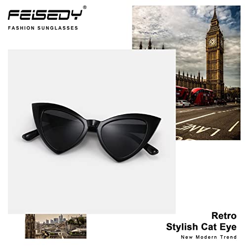 FEISEDY Retro Cat Eye Sunglasses for Women Fashion Vintage Cateye Sun Glasses B22353