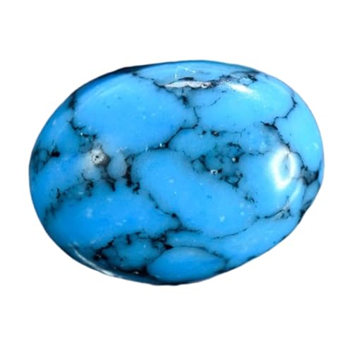 Turquoise naturelle véritable 8x12mm cabochon ovale pour création joaillerie unique
