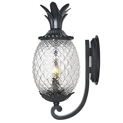Acclaim 7501Bk Lanai Collection 2-Light Wall Mount Outdoor Light Fixture, Matte Black #TOP3