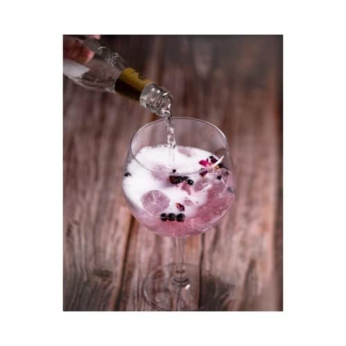 Drink Botanicals Ireland The Expert Gin Fusion Kit | Gin Making Kit |100 + Servings| Gin Botanicals and Infusion Gift Kit | Make Your Own Gin | Homemade Gin Cocktail Garnish Kit | Spices For Gin